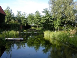 natural swimming pond
